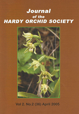 Epipactis cambrensis