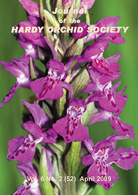 Northern Marsh-orchid