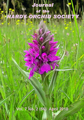 Dactylorhiza praetermissa