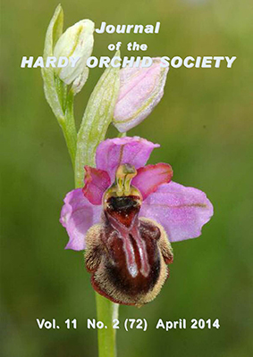 Ophrys aveyronensis