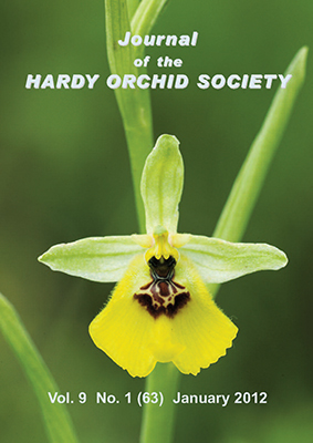 Ophrys lacaitae