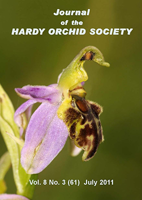 Ophrys apifera var. botteronii