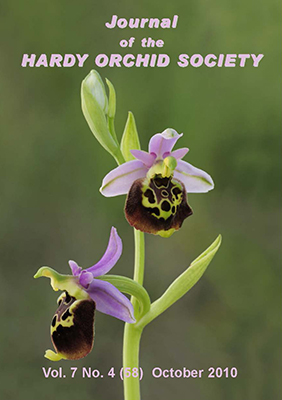 Ophrys tetraloniae