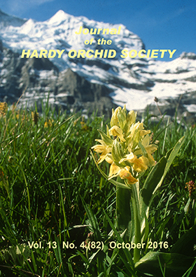 Dactylorhiza sambucina