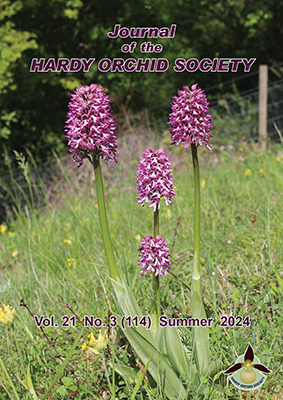 jhos cover summer2024